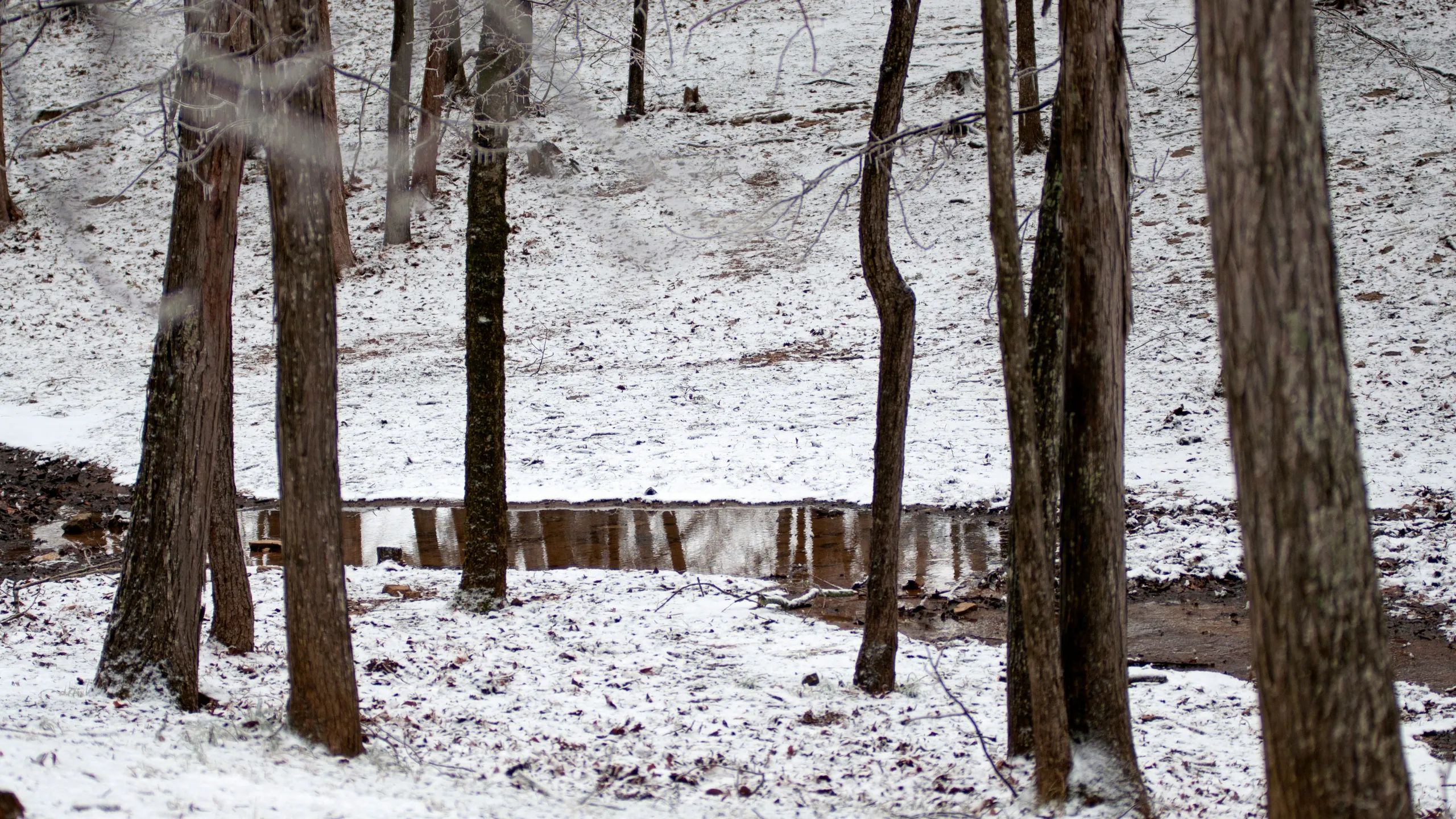 Black Friday 5K Run/Walk