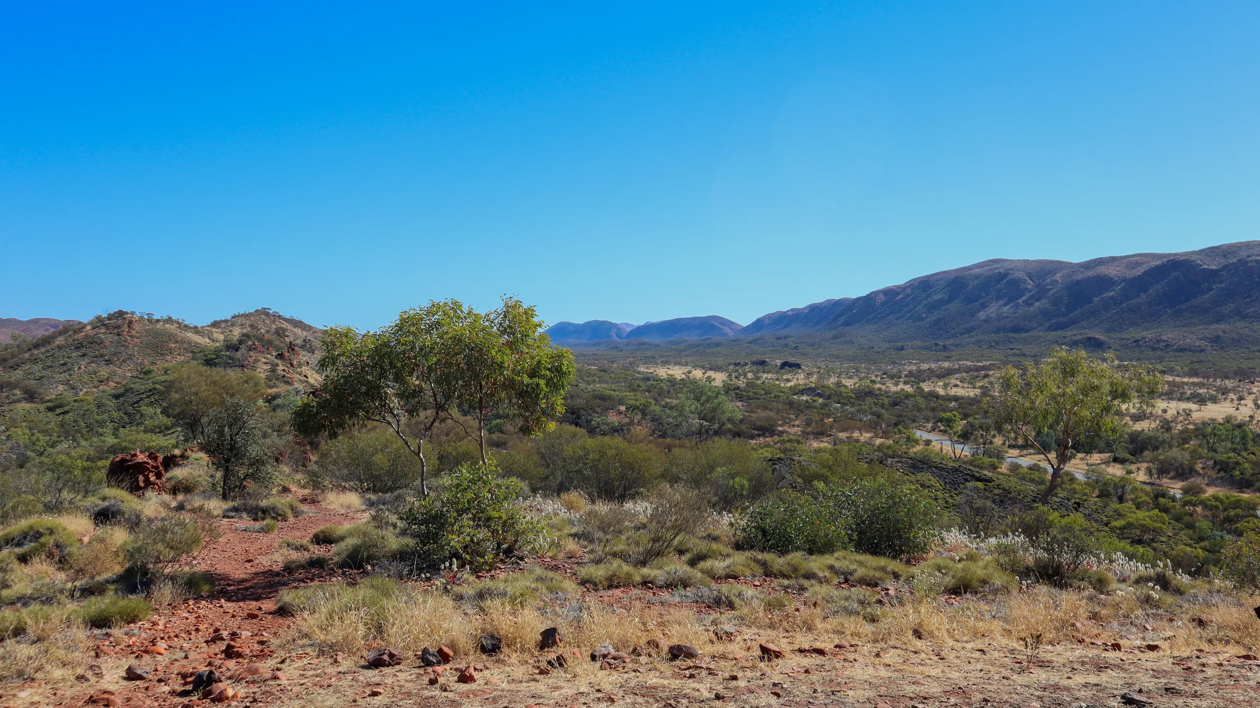 Run Larapinta