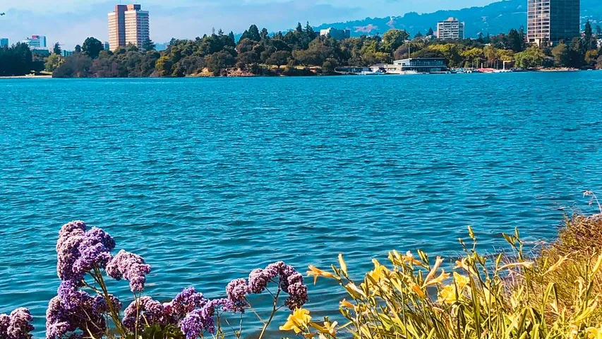 Oakland Marathon