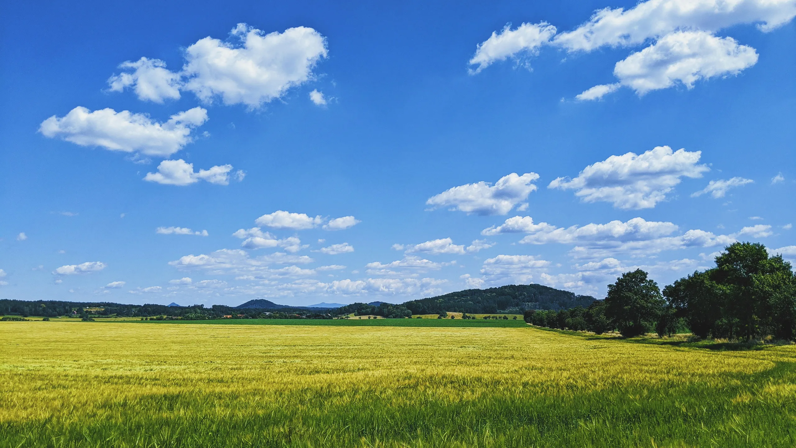 Mizuno Bezdězský půlmaraton