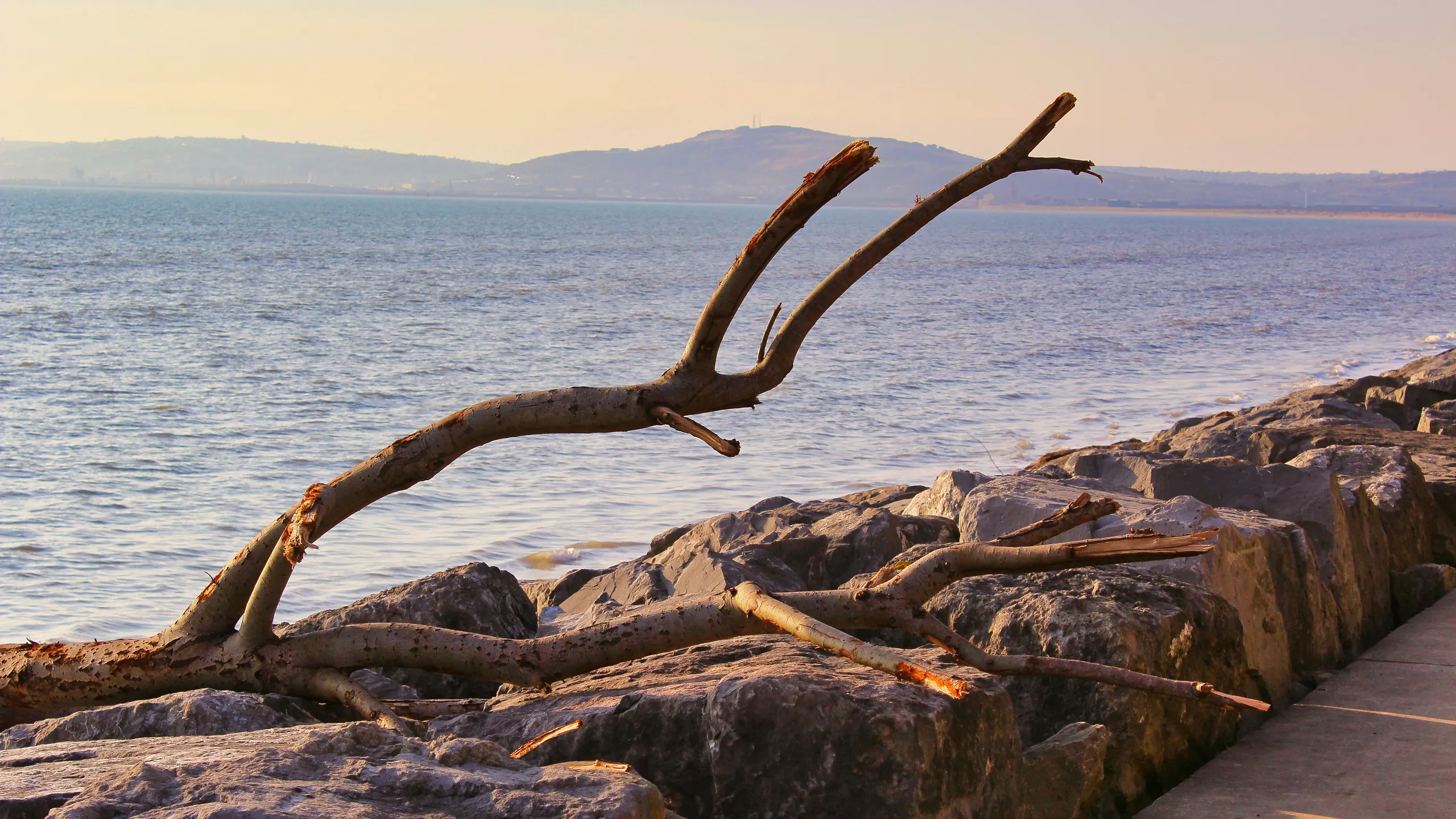 Trail Revolution Margam Trail Races