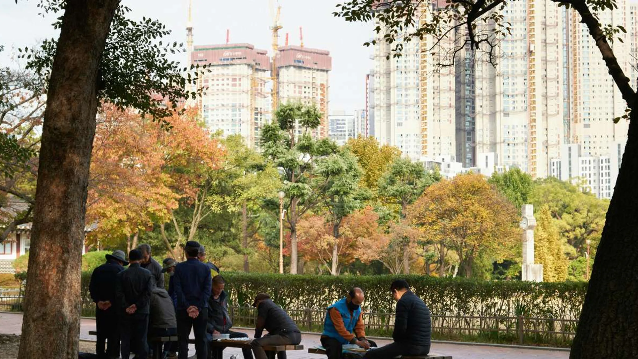 Daegu Marathon