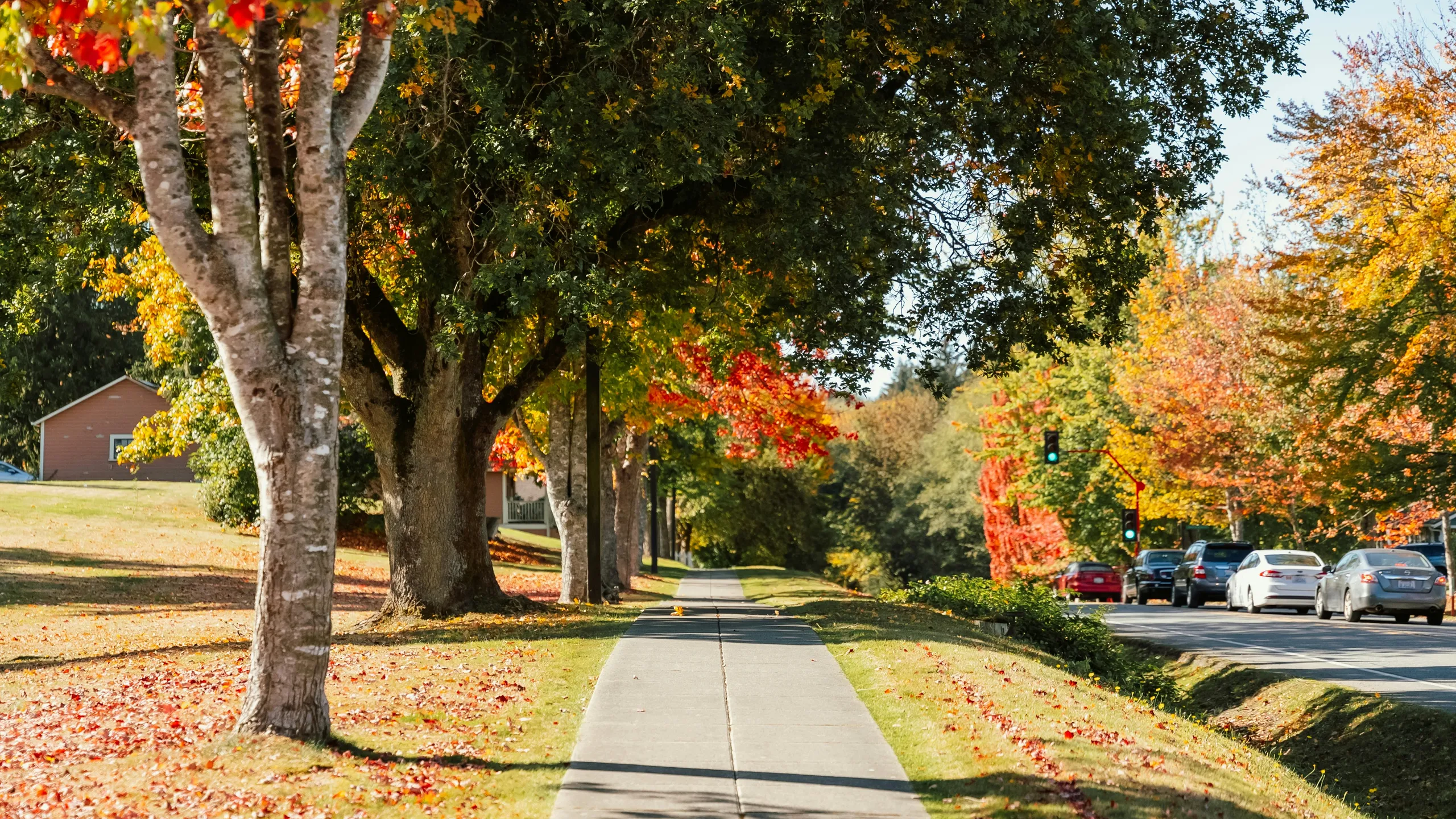 Parkersburg News and Sentinel Half Marathon and Two Mile Race 2025