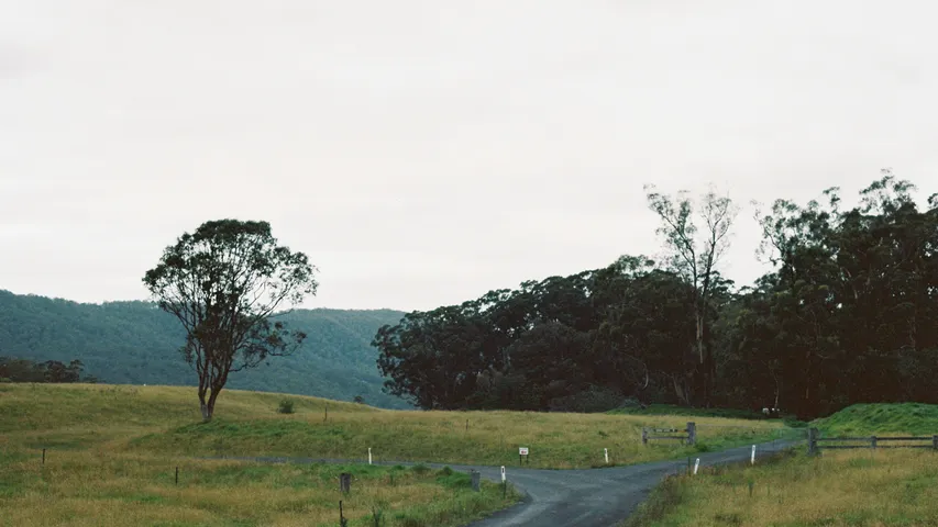 Winery Run - Hunter Valley