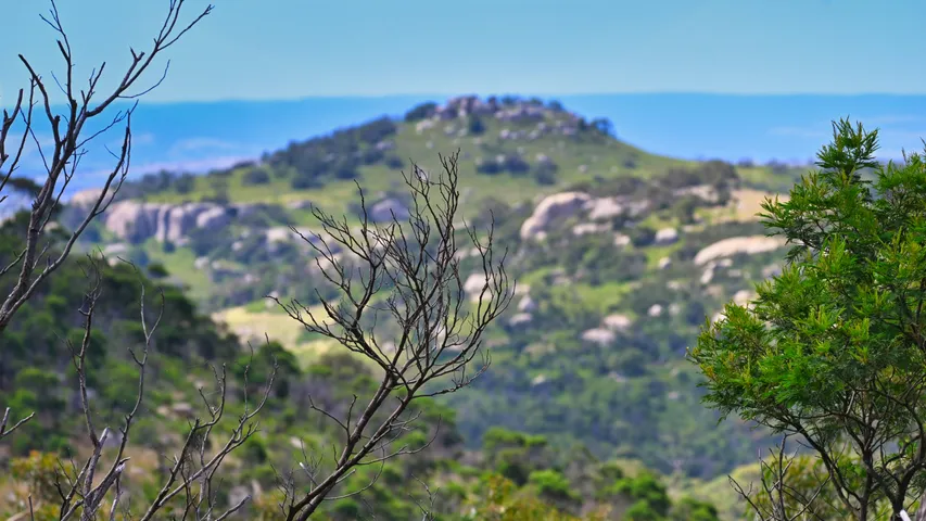 You Yangs Trail Running Festival 2025