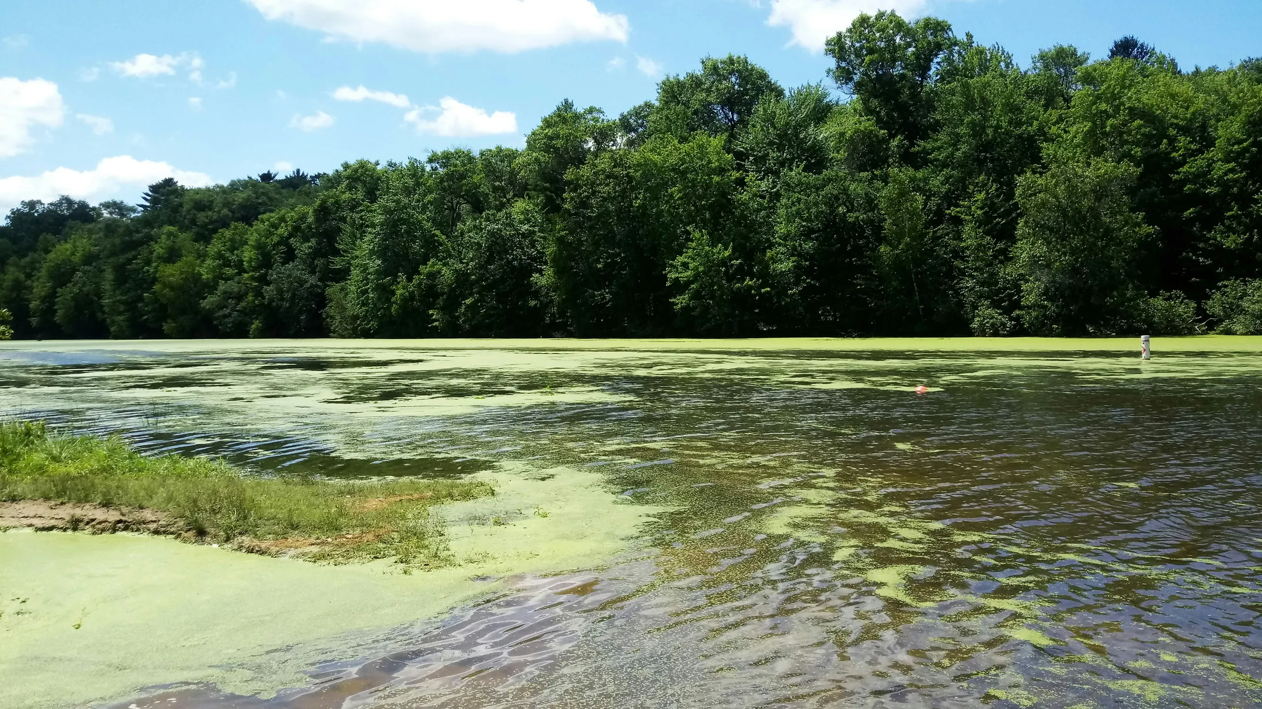 Tamarack Health WhistleStop Marathon & Half-Marathon