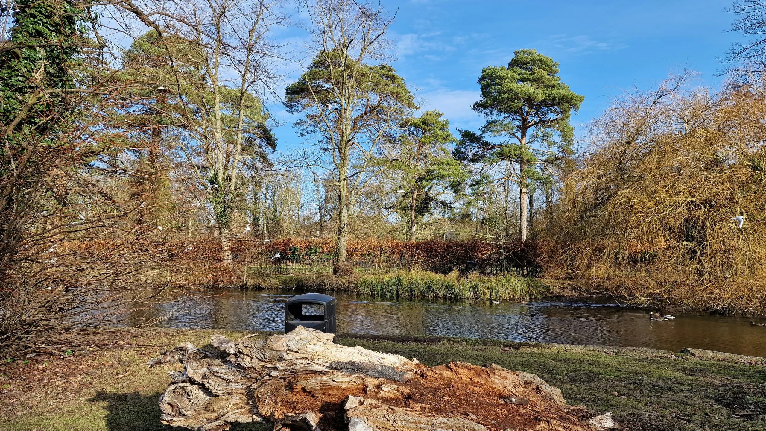 Peddars Way Ultra Marathon