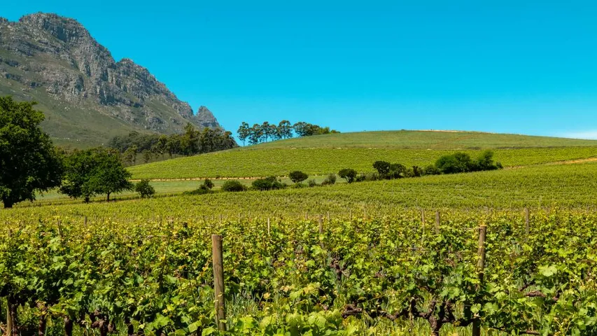 K-Way MaxiRace Cape Winelands presented by Stanley