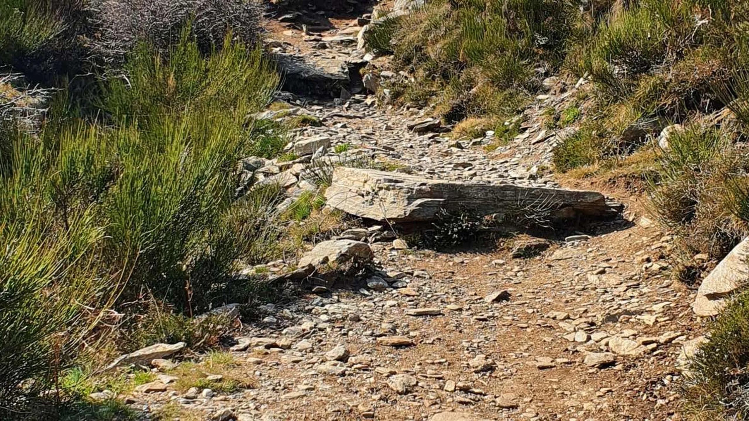 K54 Trail