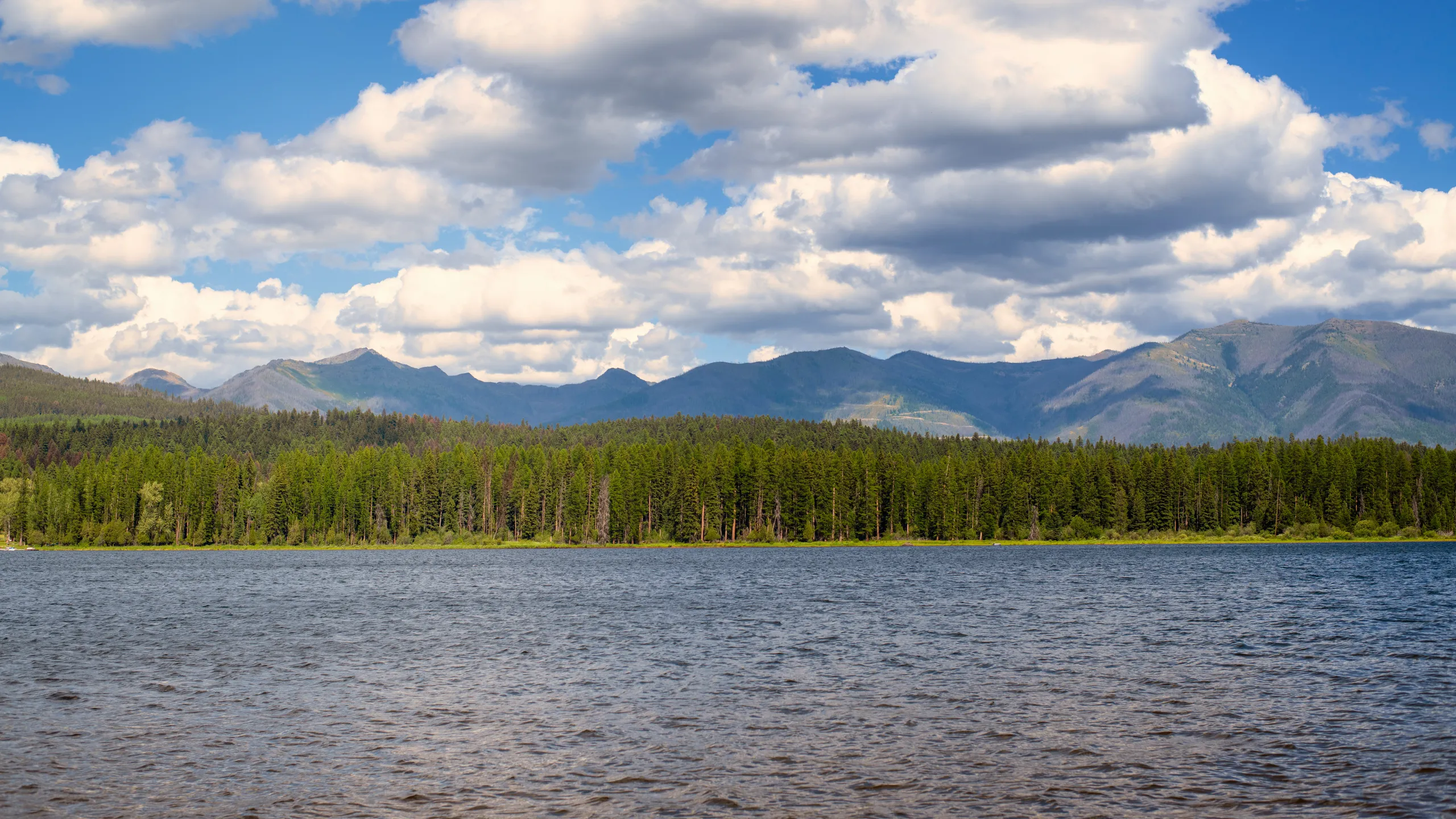 Snow Joke Half Marathon