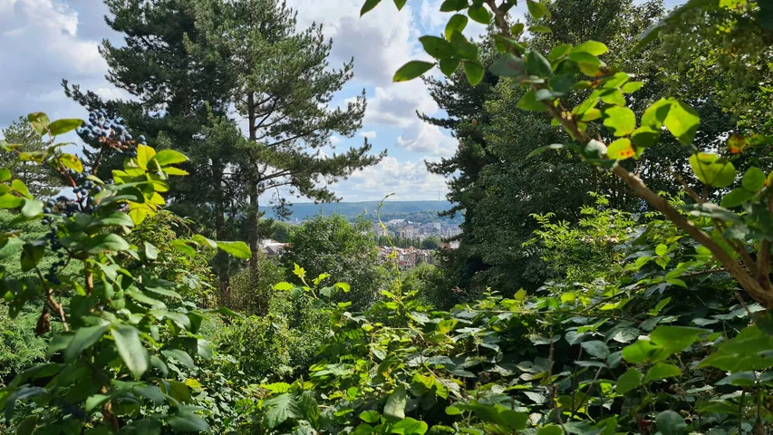 Beer Lovers Marathon