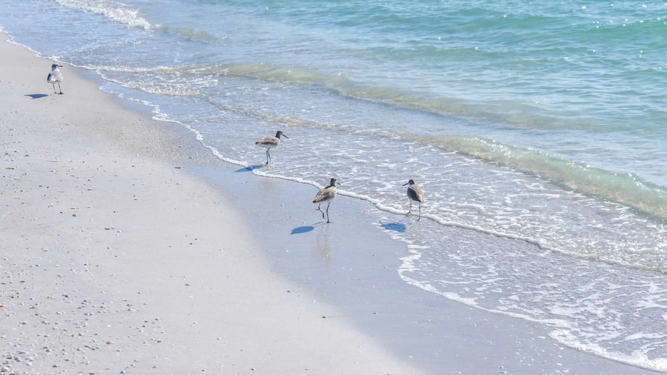 Muddy Princess – Punta Gorda