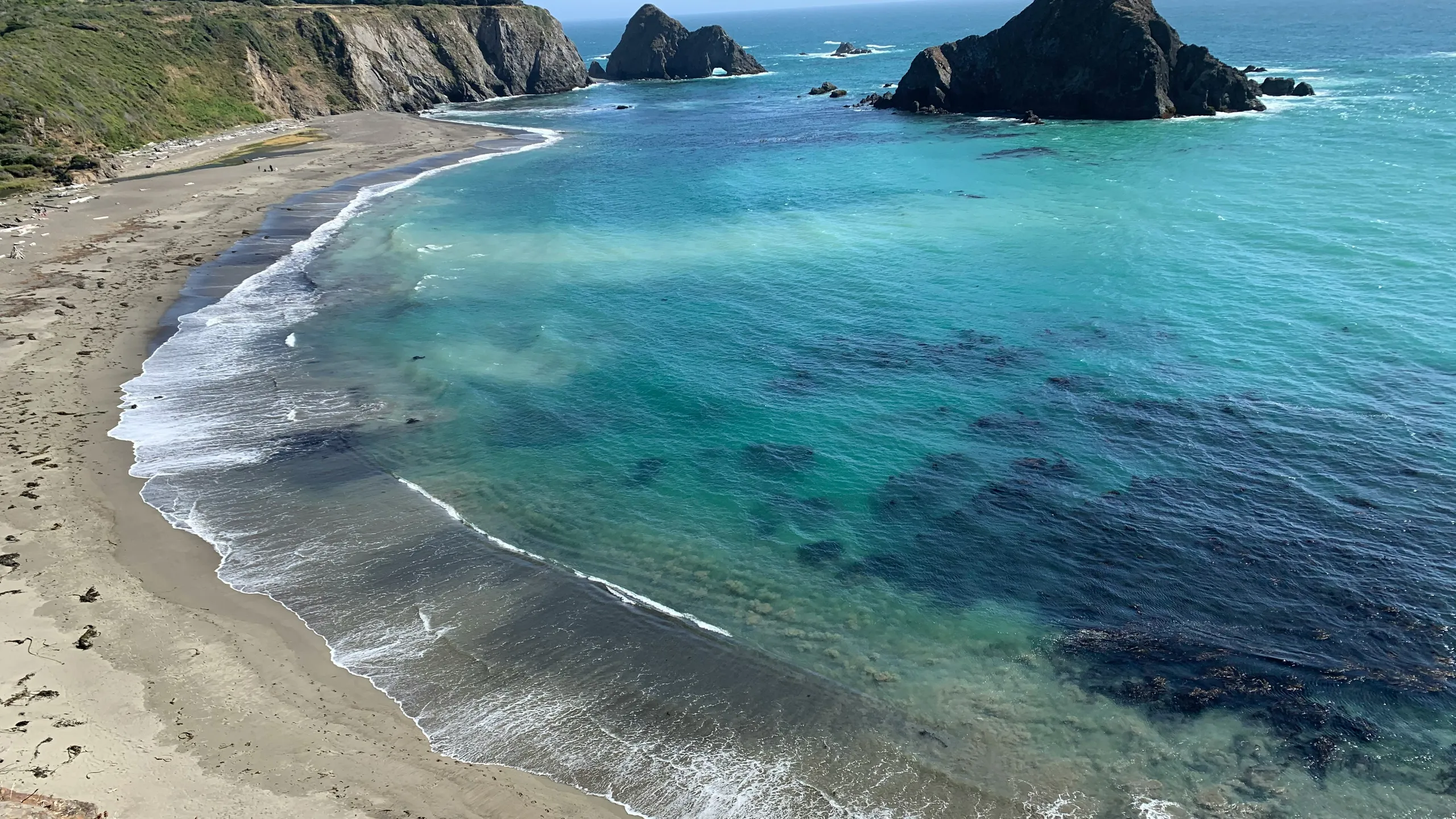 Mendocino Coast 50K