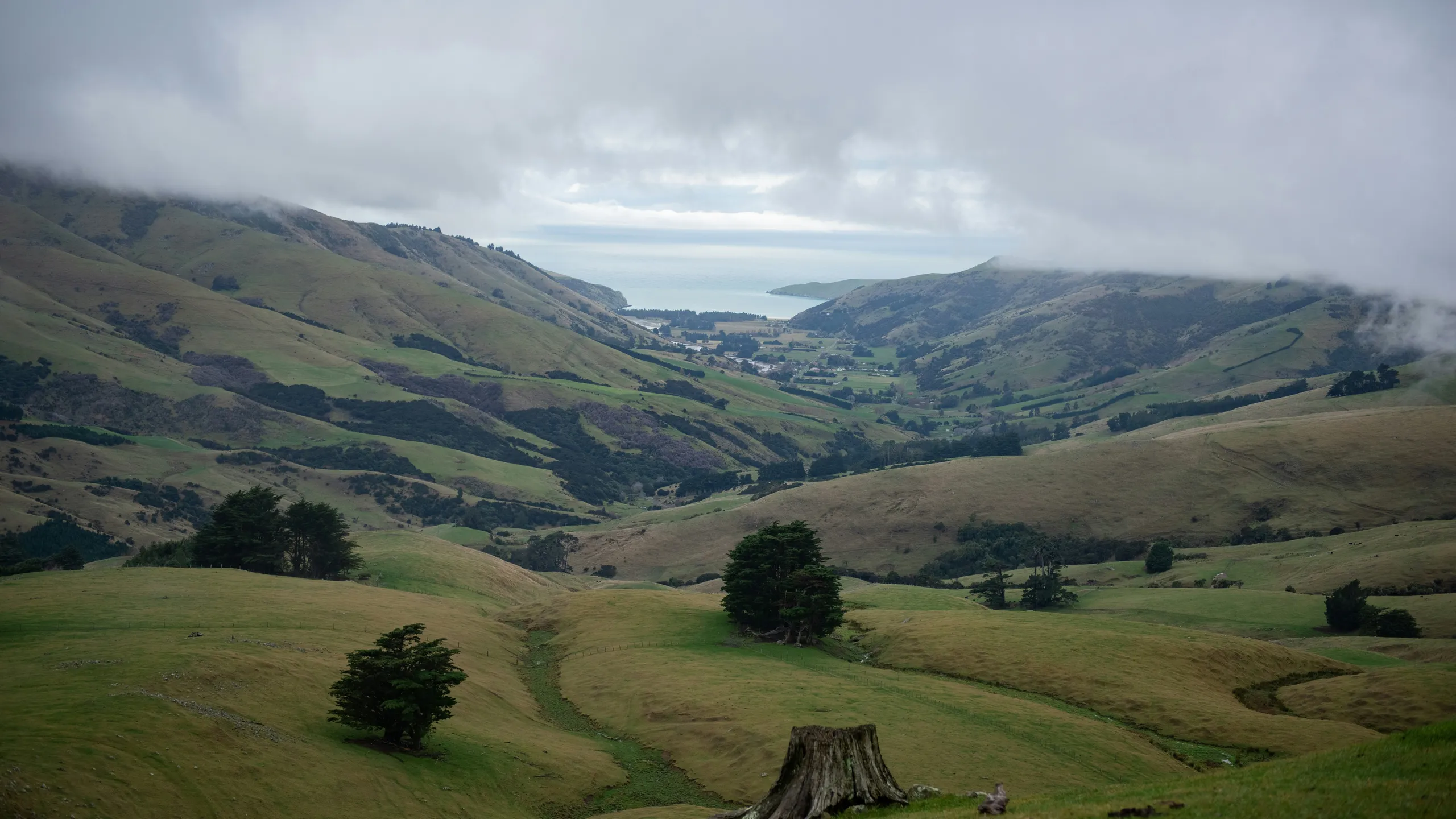 AON Mullingar Half Marathon 2026