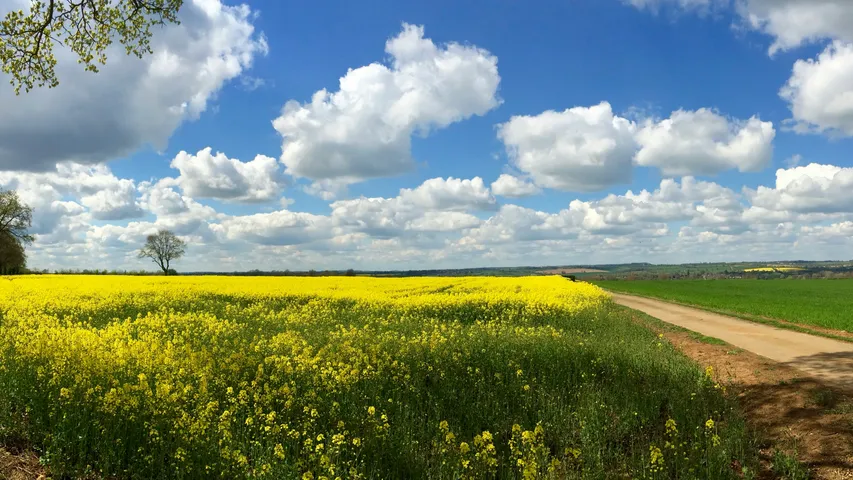 Pitsford Water Trail Races