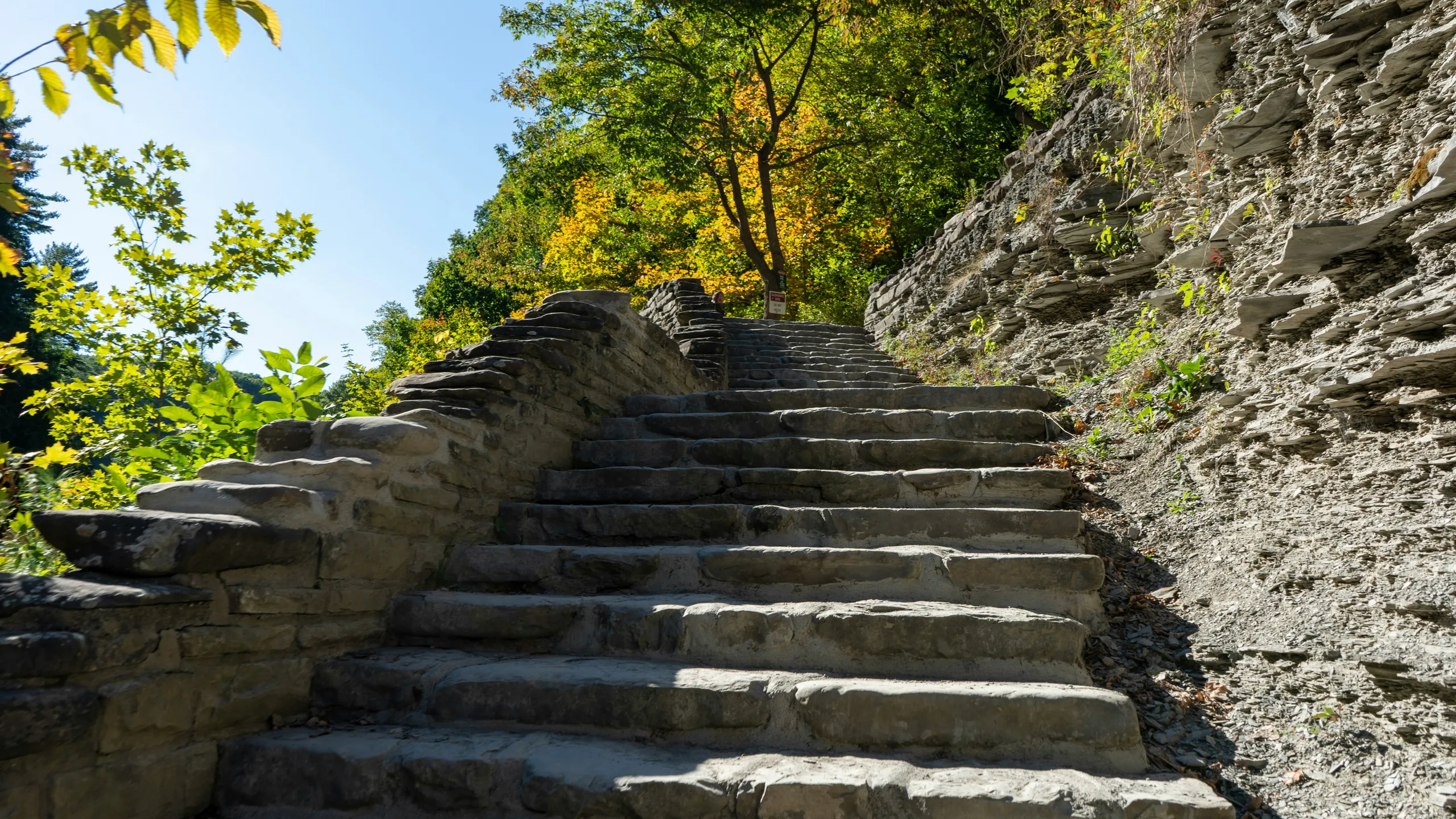 Glen Iris 5K & 10K Trail Run 2025