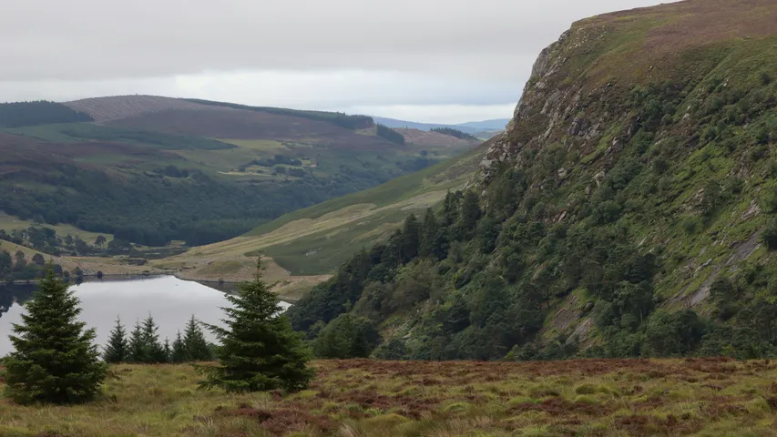 Wicklow Hospice Half Marathon & 10K