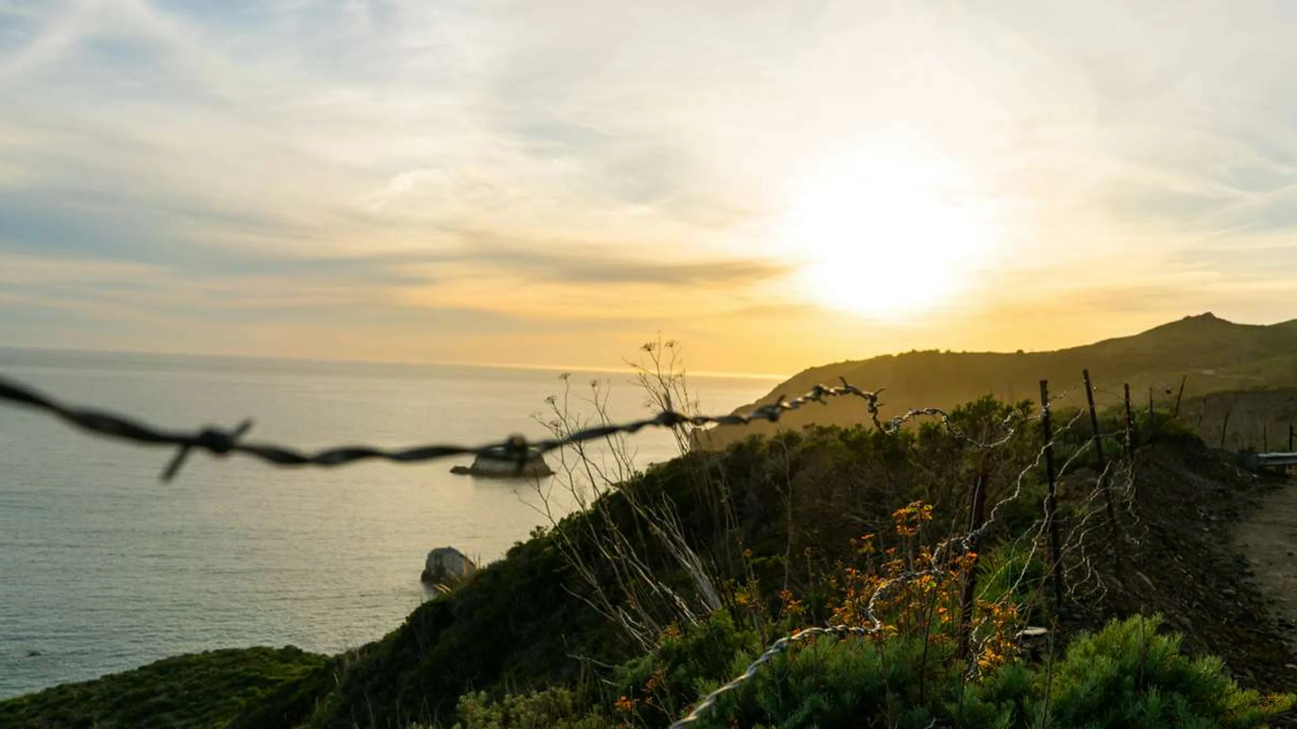 Muir Woods Mountain Challenge