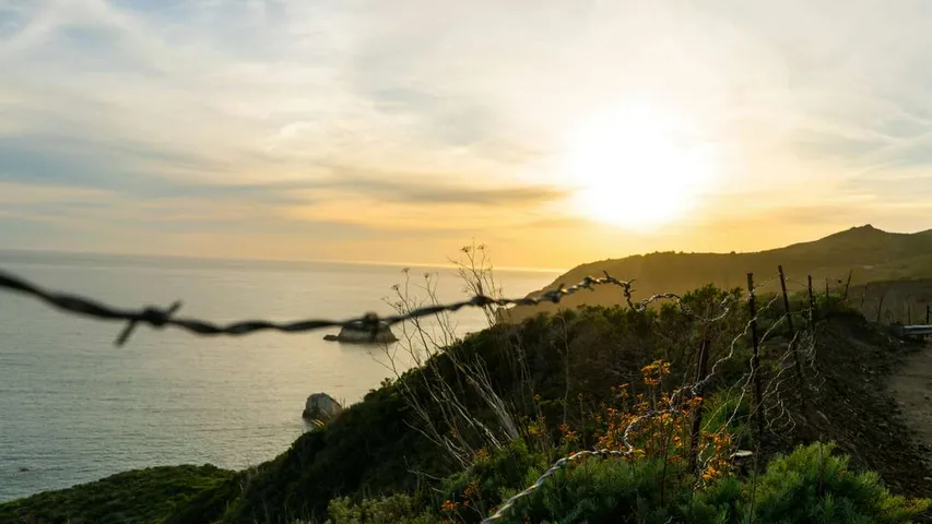 Muir Woods Mountain Challenge