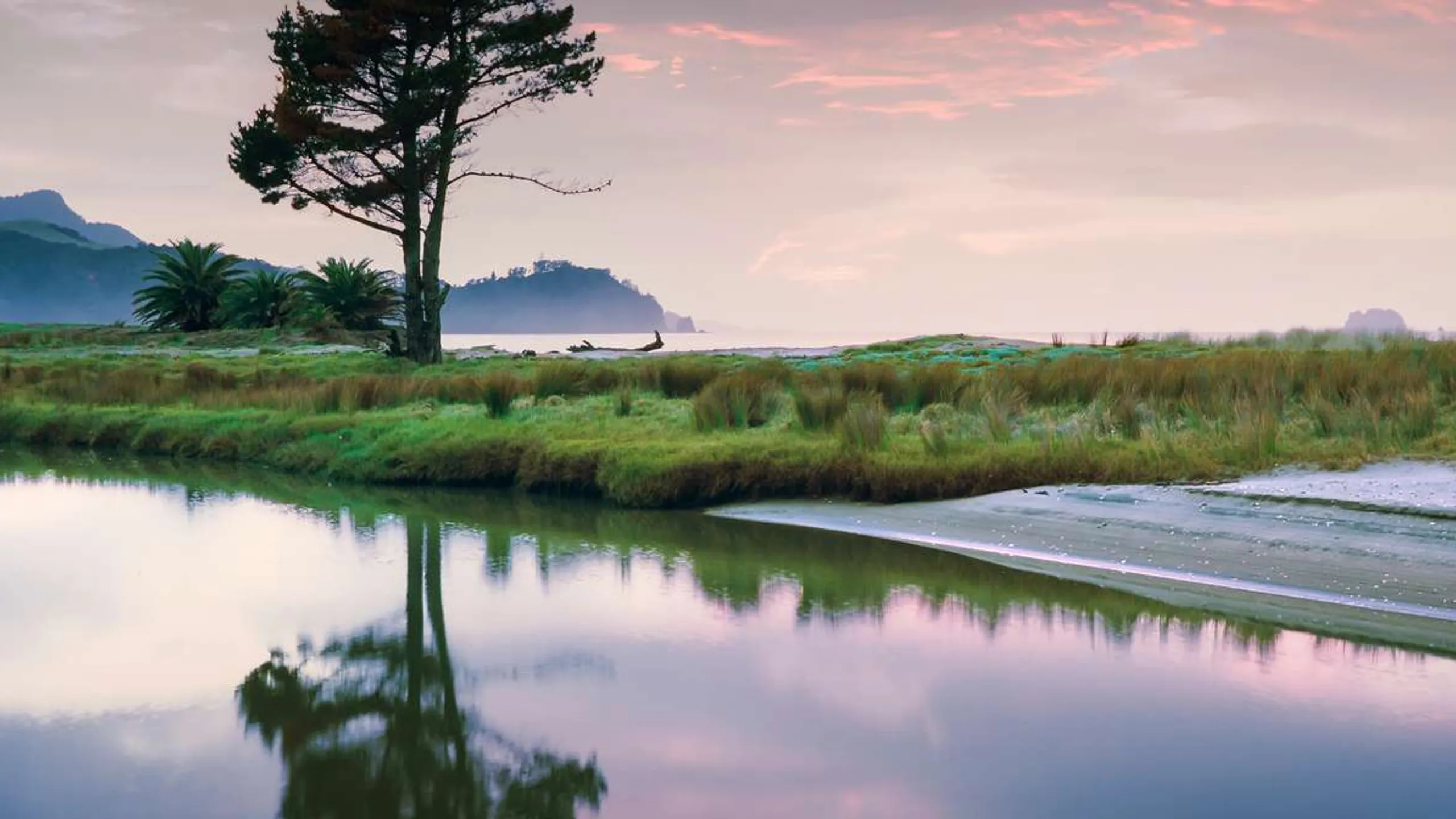 Whitianga Run Fest