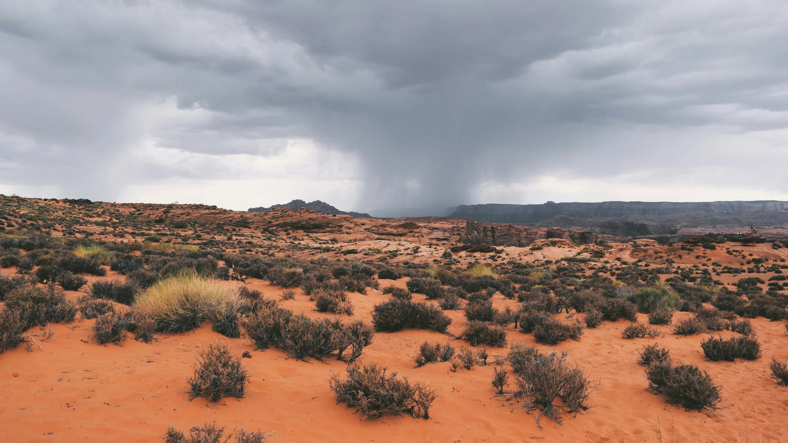 SV Sunrise Rotary Rising Sun Run