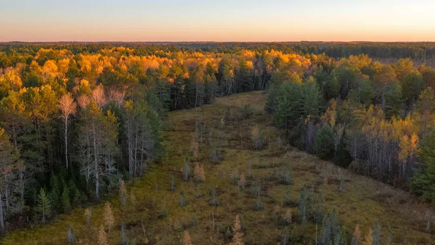 Minocqua Northwoods Escape Marathon, Half Marathon, and 5K