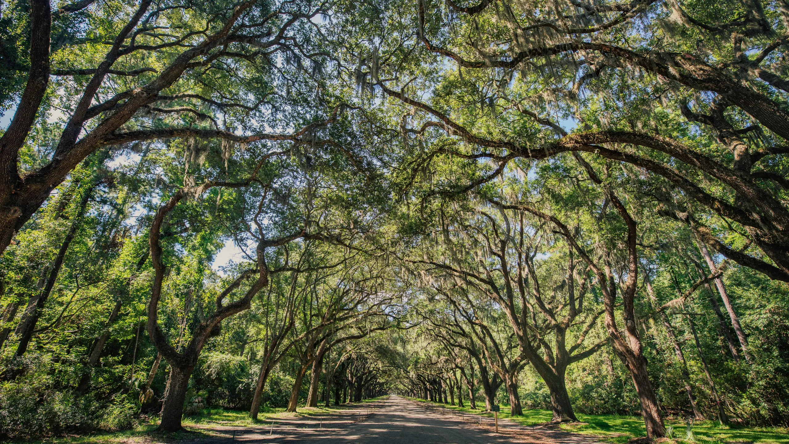 Wormsloe Trail 1/2 Marathon and 10k