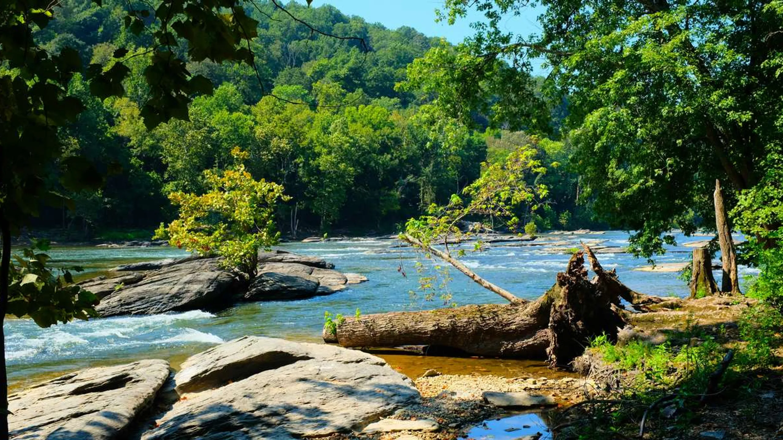 Yellow River State Forest