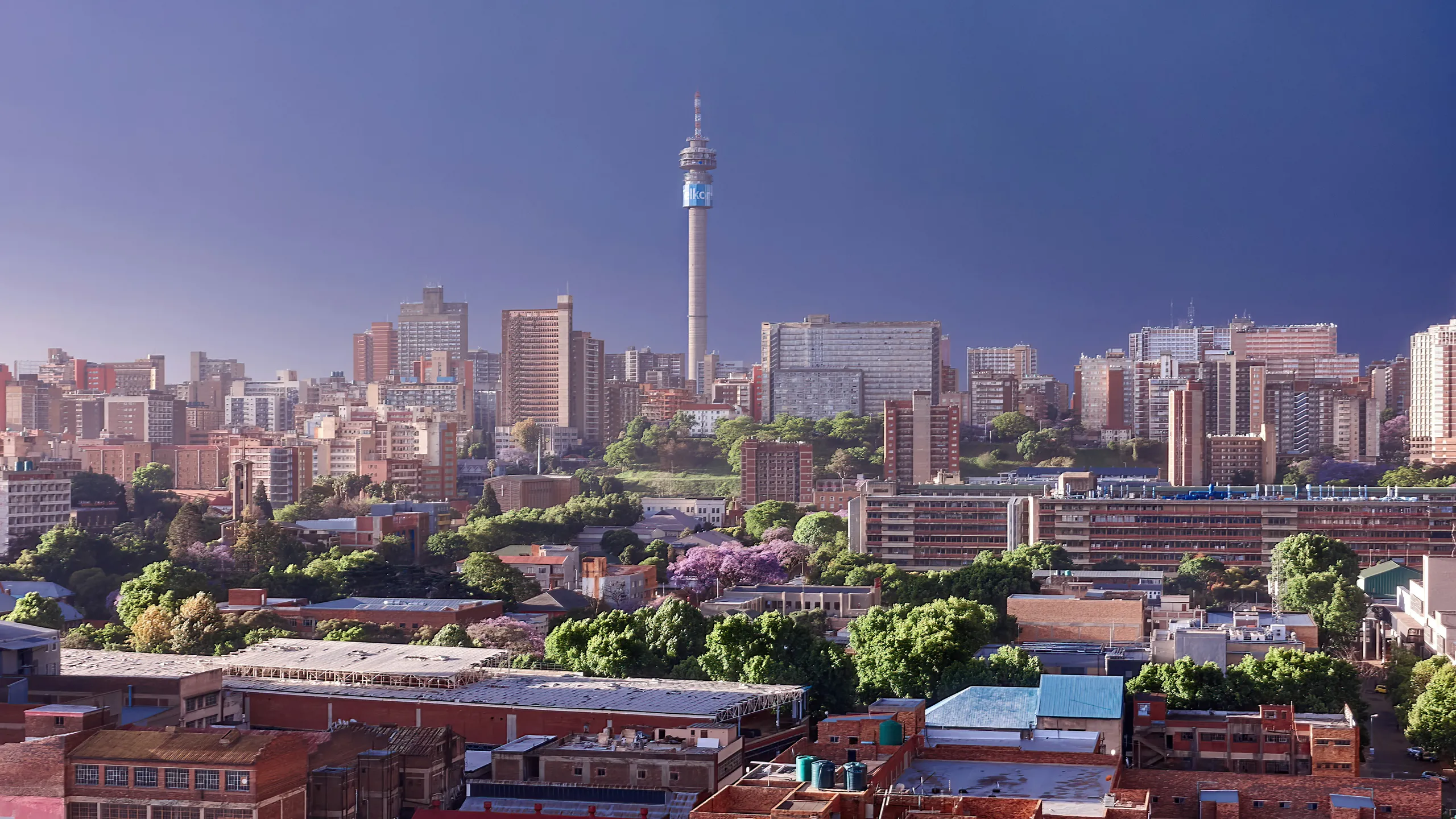 Randburg Harriers Challenge with Discovery Vitality