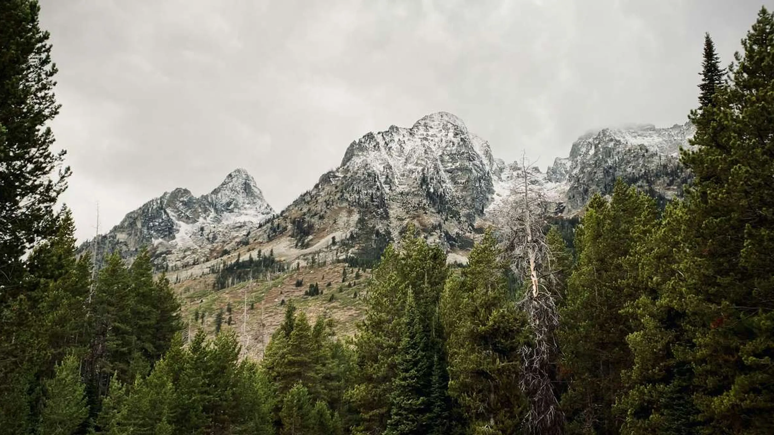 Grand Teton Half Marathon + 5K