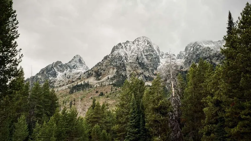 Grand Teton Half Marathon + 5K