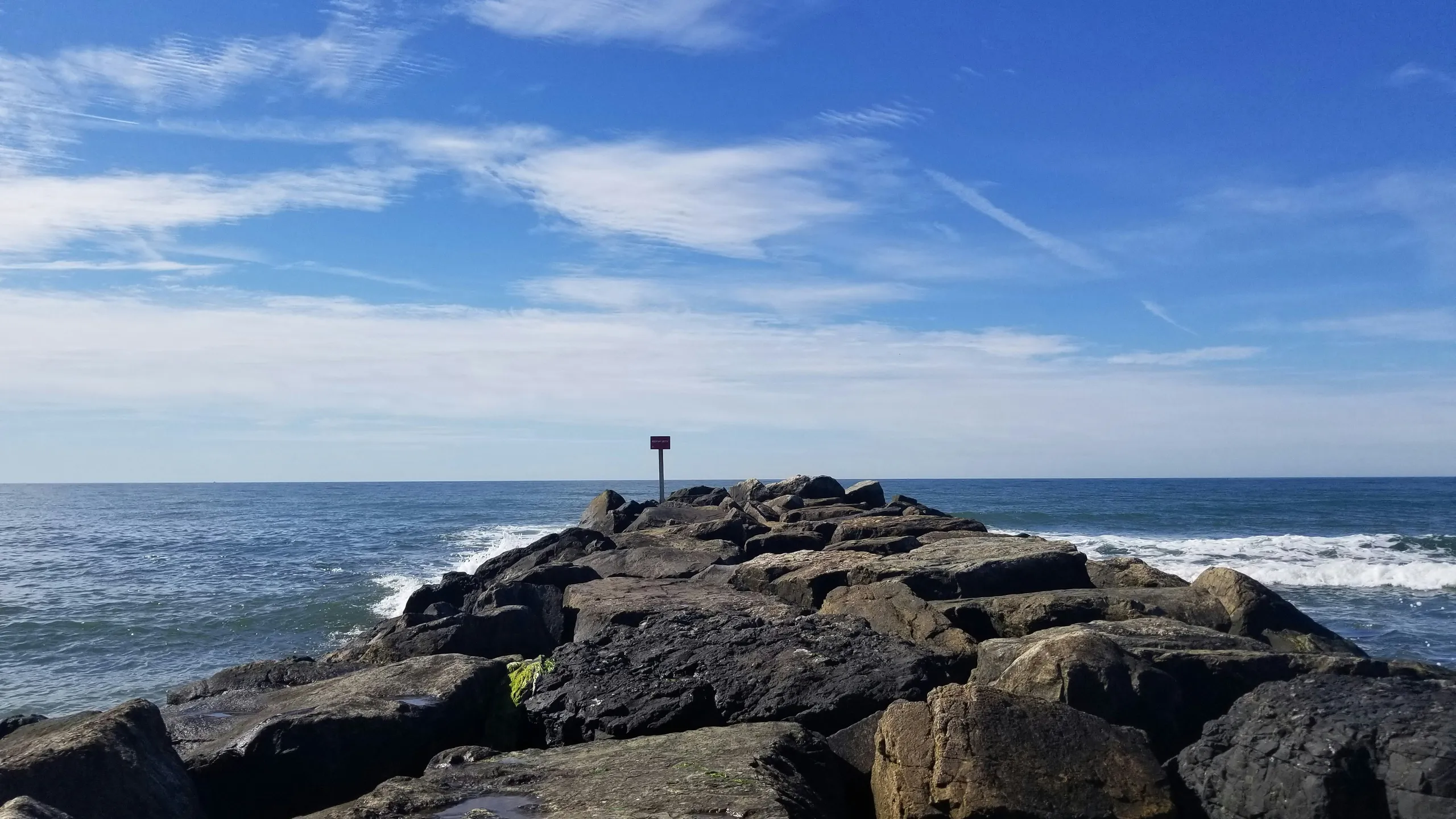 Horseshoe Crab Hustle