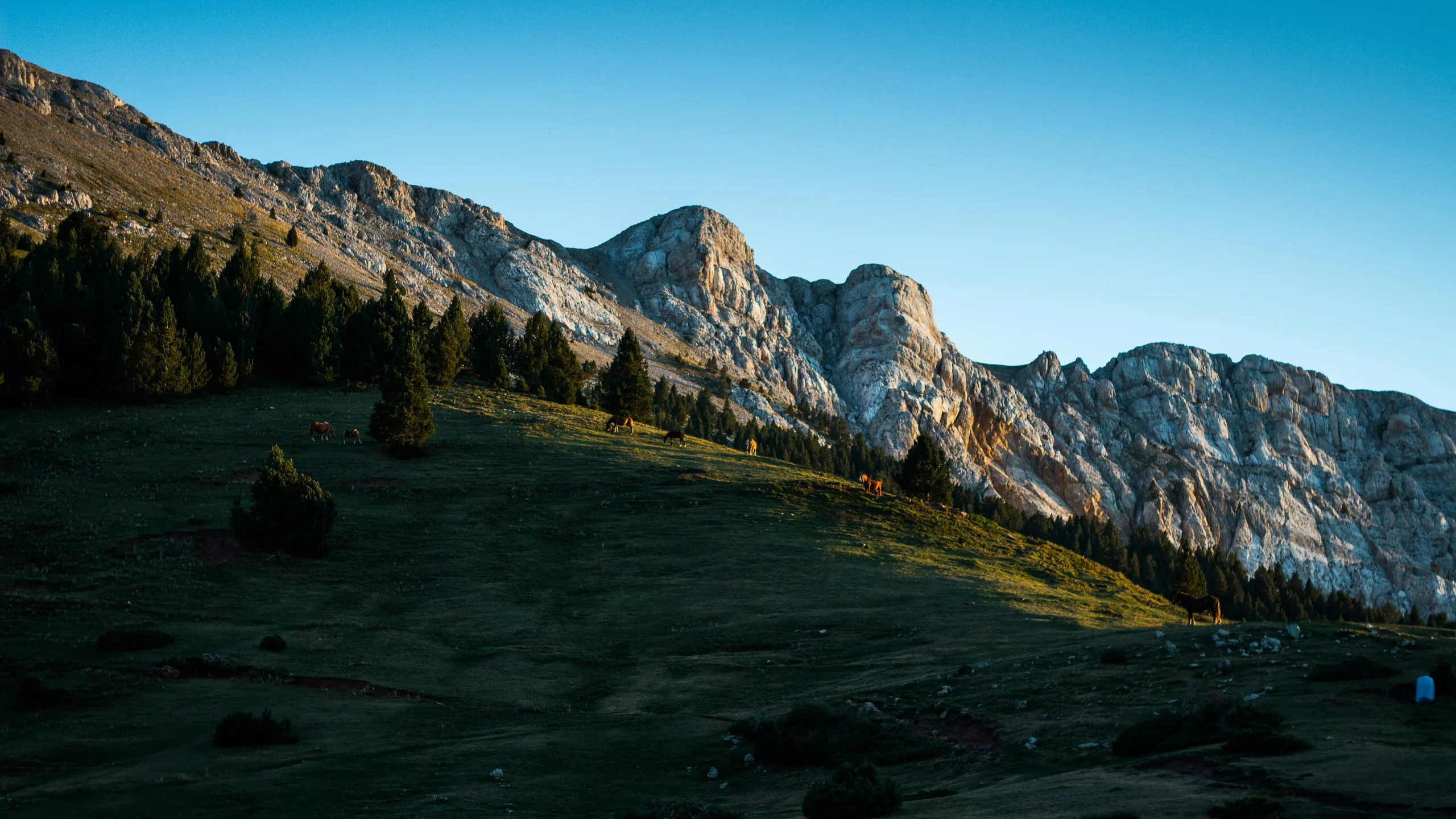 Salomon Ultra Pirineu