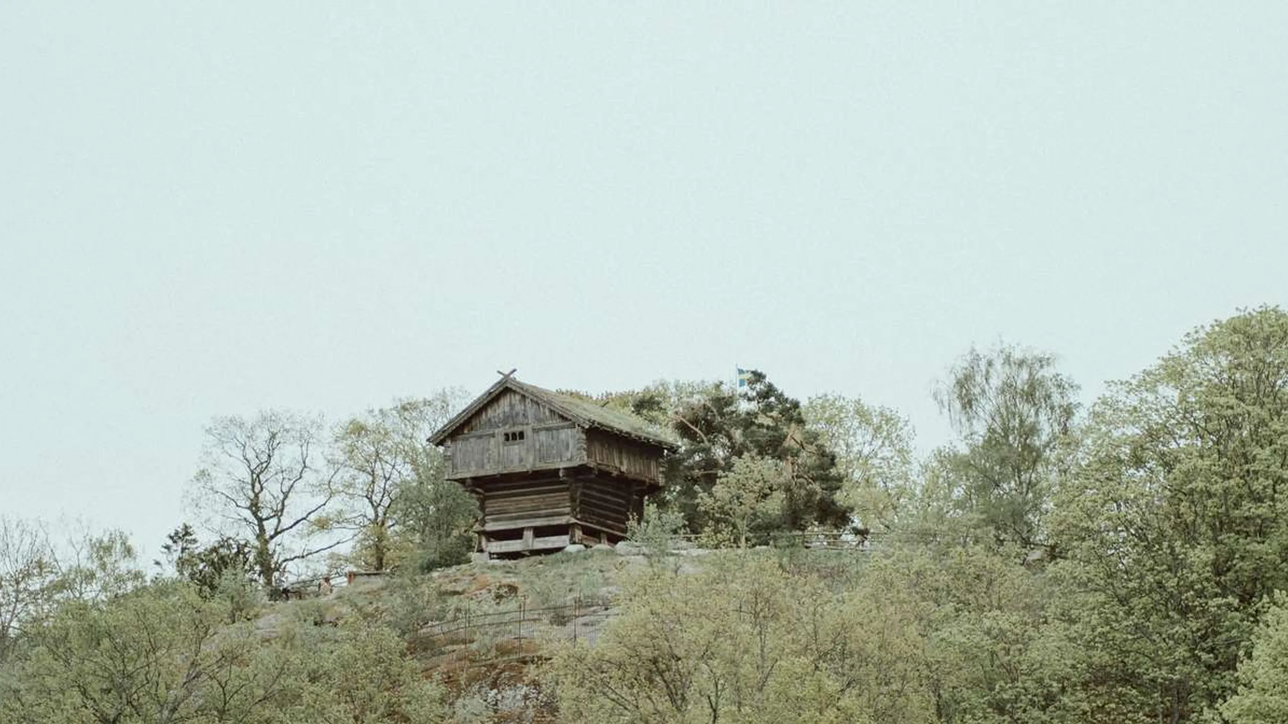 Björnfrossa ultramaraton