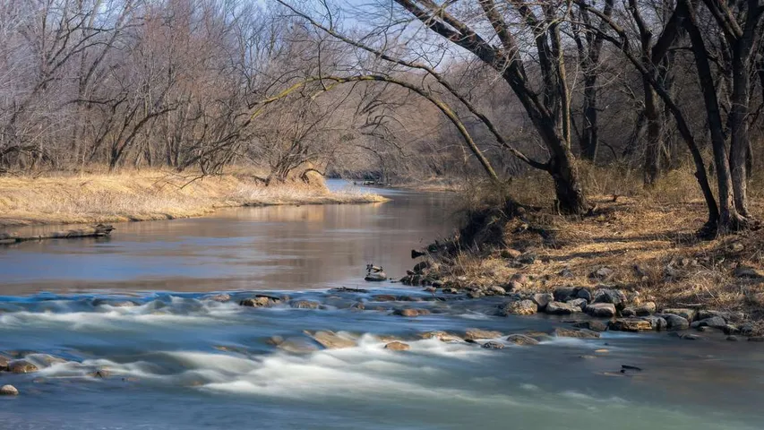 Sugar Bottom (Fall)