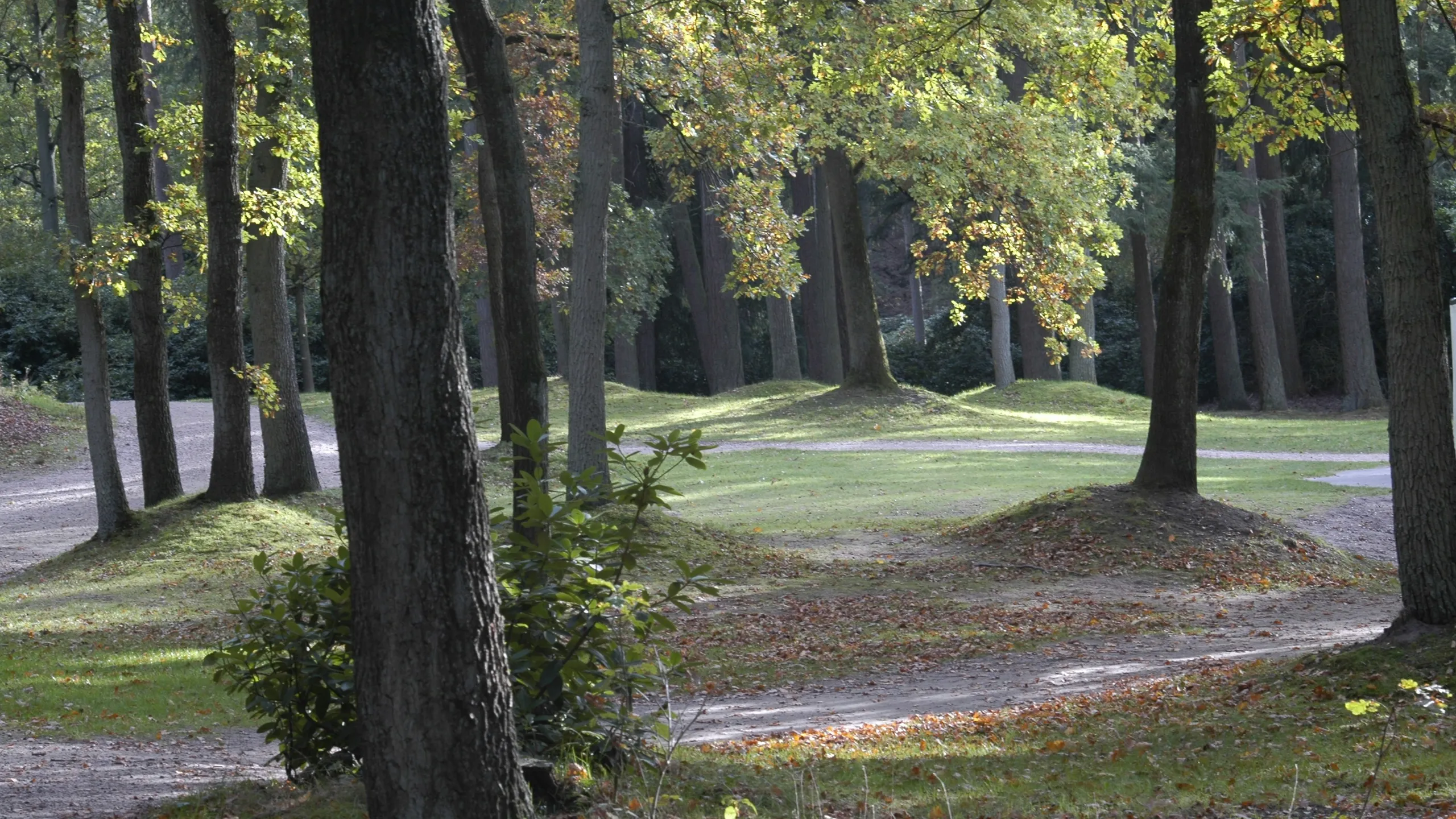 LOWA Posbank Trail, Canitrail & Walk