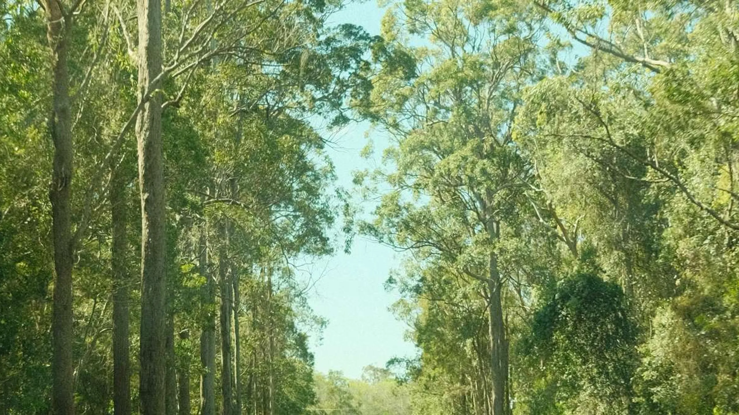 SEQ Ewen Maddock Dam Trail Run