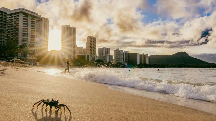 Hapalua-Hawaii’s Half Marathon
