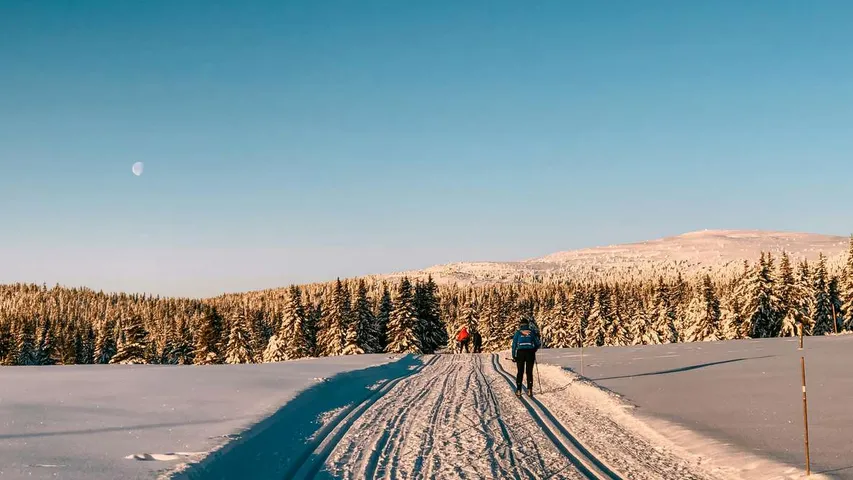 Birken Run