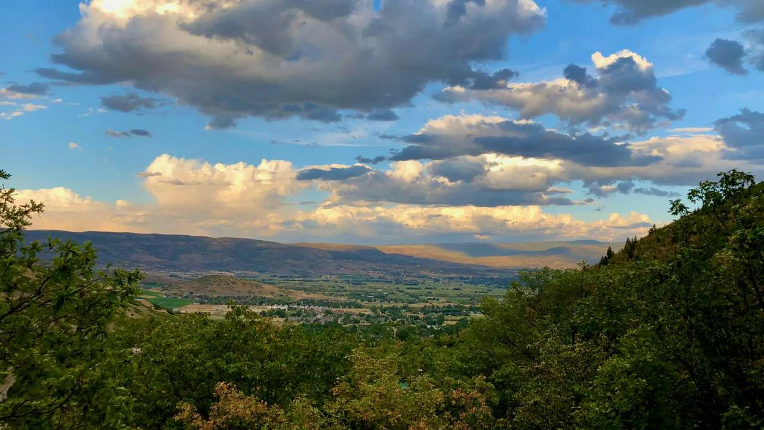 Mamele Mountains Trail Race