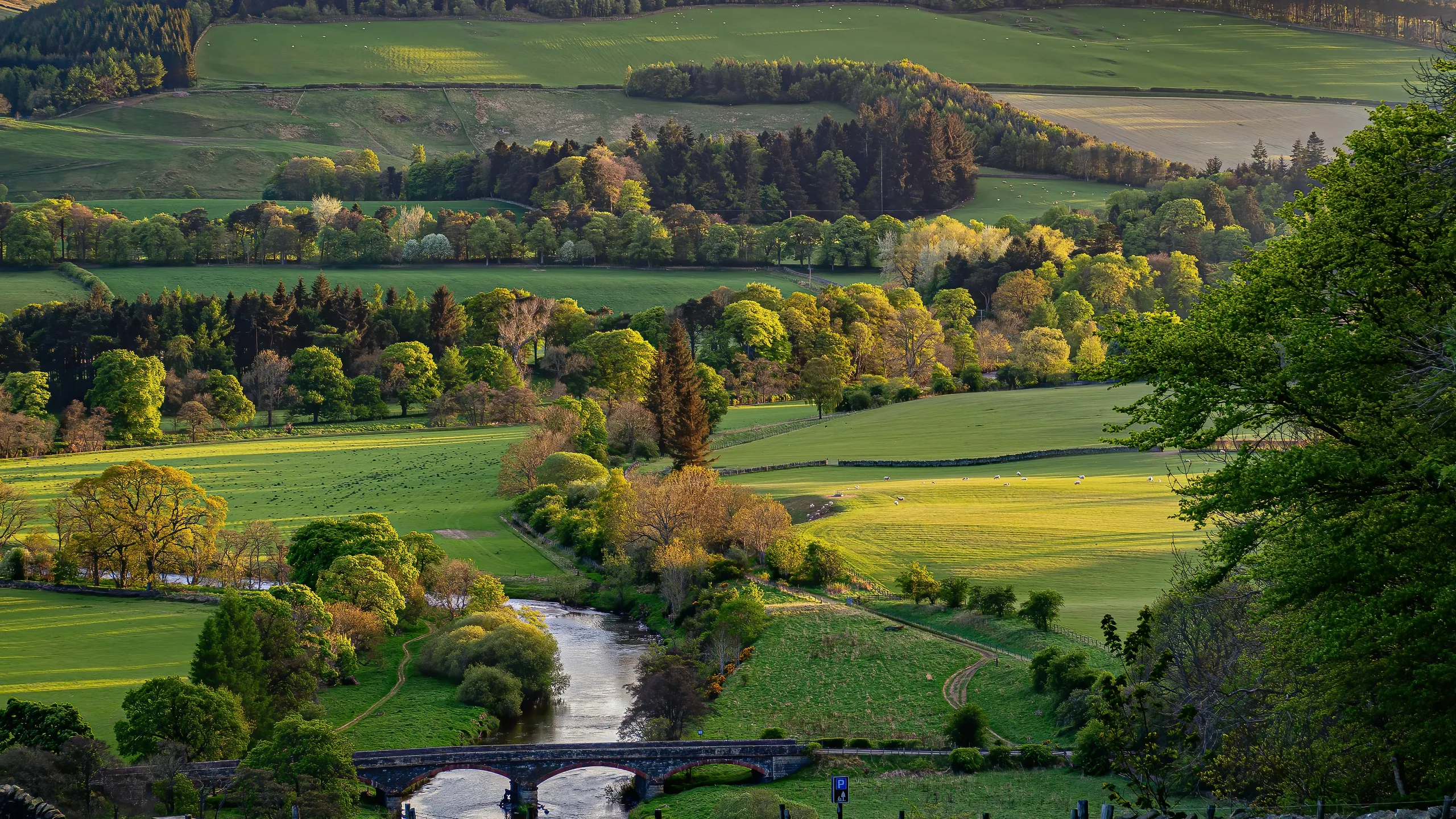 Glentress Trail 10k & Half Marathon