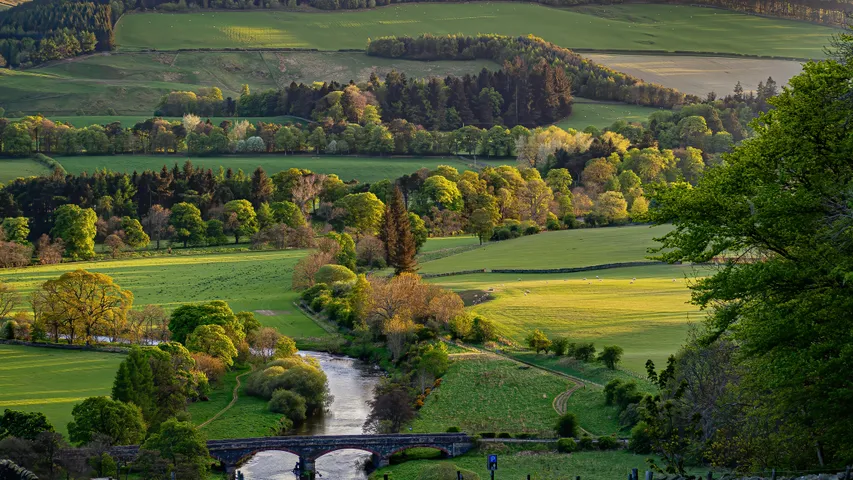 Glentress Trail 10k & Half Marathon