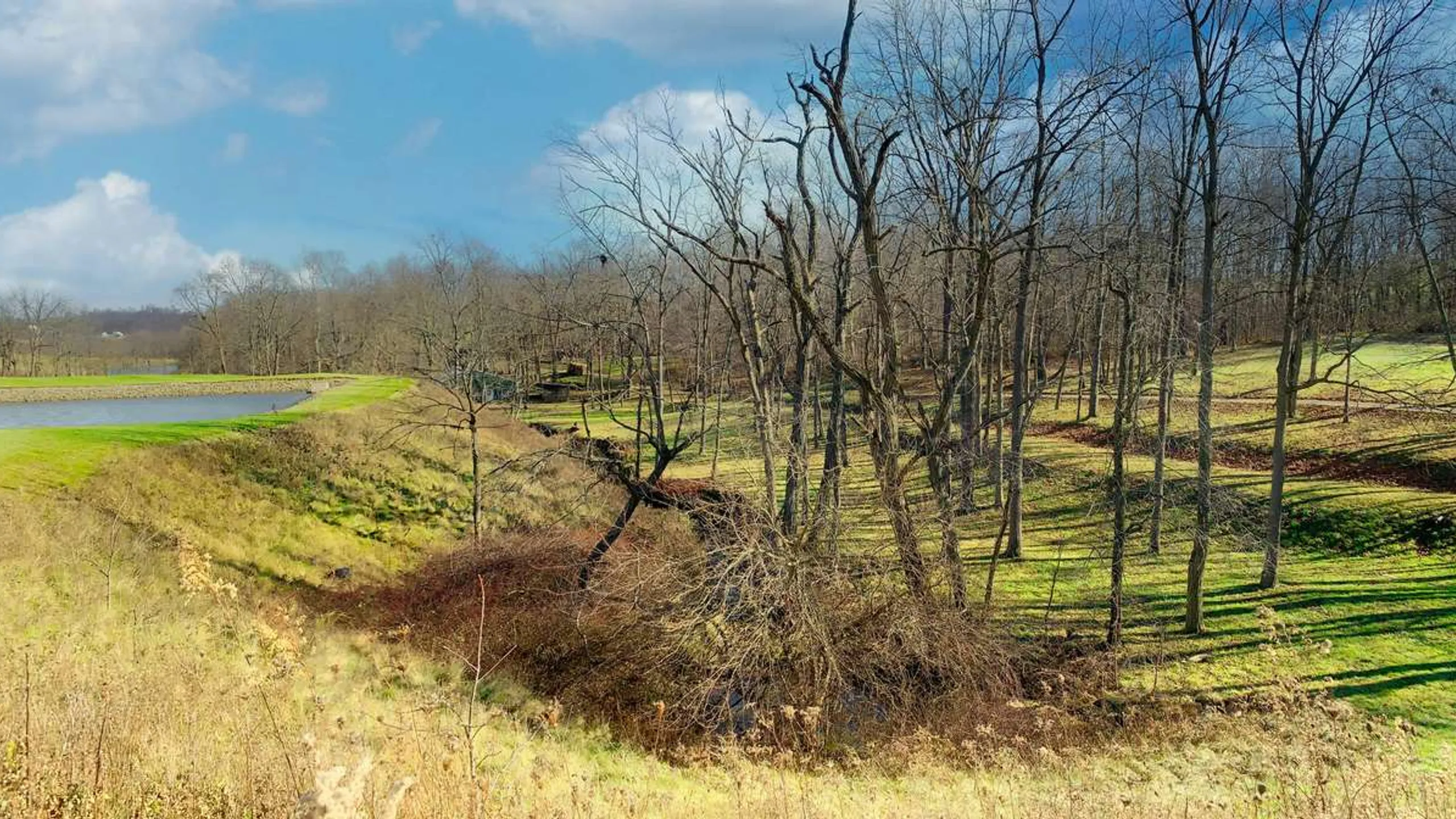 Pirate 1M, 5K, 10K, 15K & Half Marathon – Beavercreek