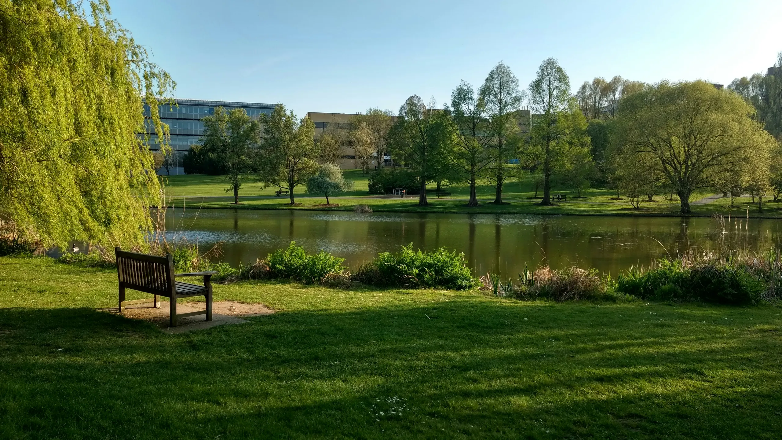 North Downs 50 Ultra Challenge