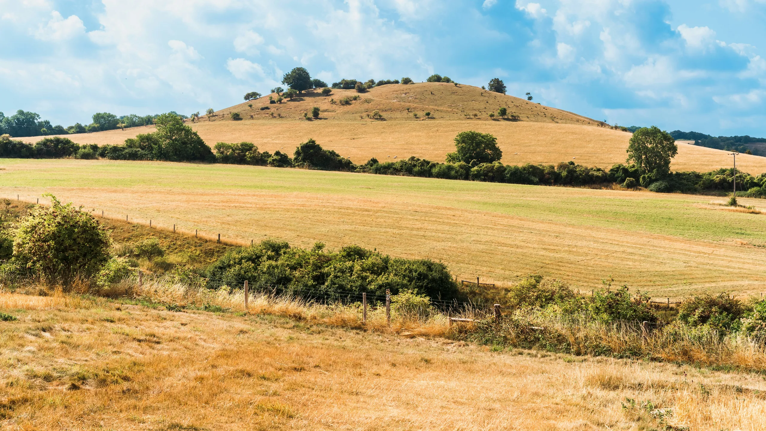 Buntingford Year End 10