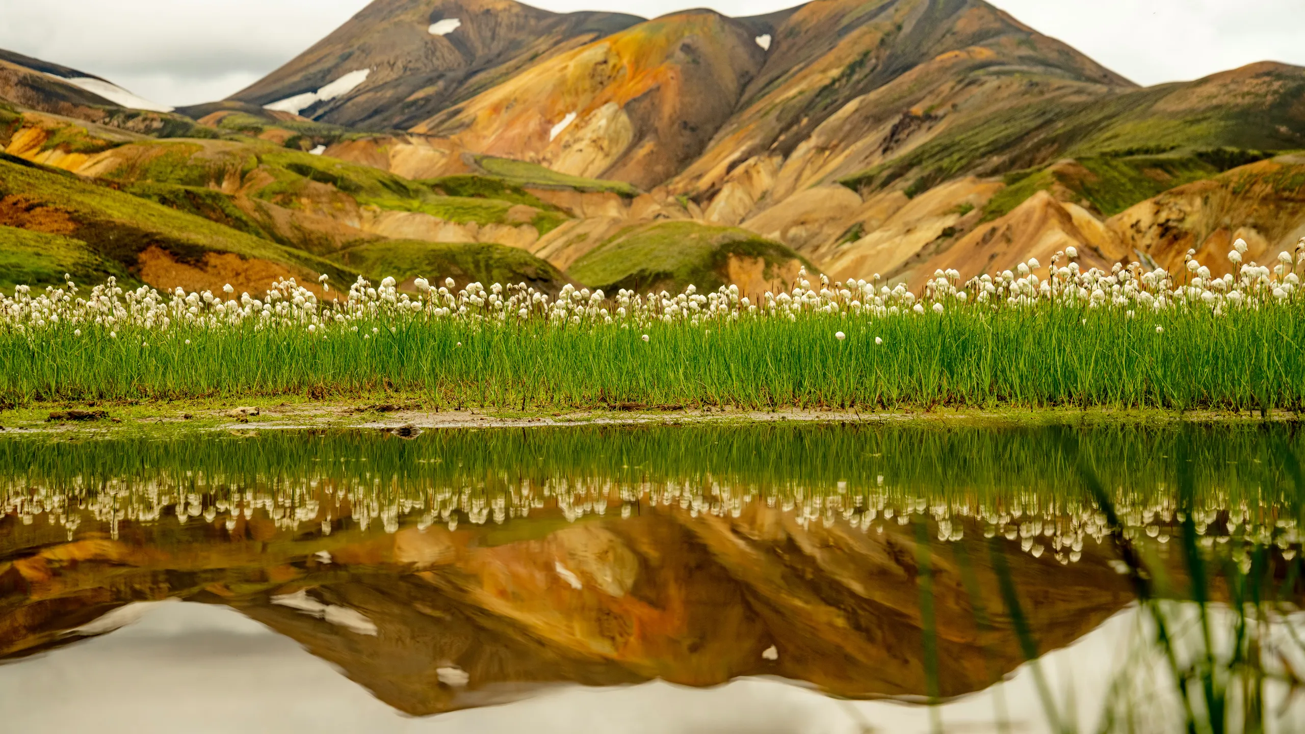 Laugavegur Ultra Marathon