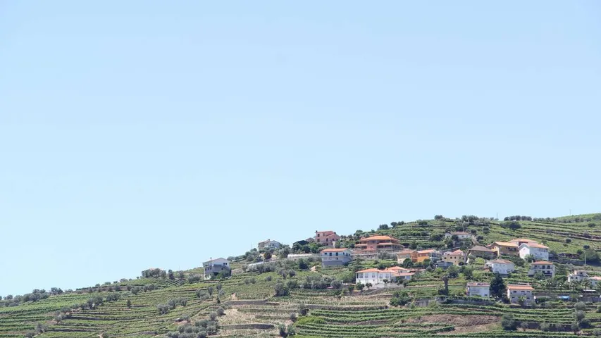 Douro Vinhateiro Half Marathon
