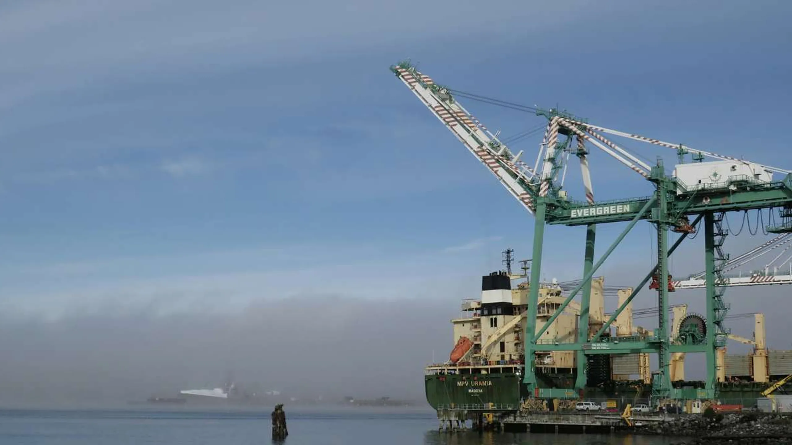 Pirate 1M, 5K, 10K, 15K & Half Marathon – Everett