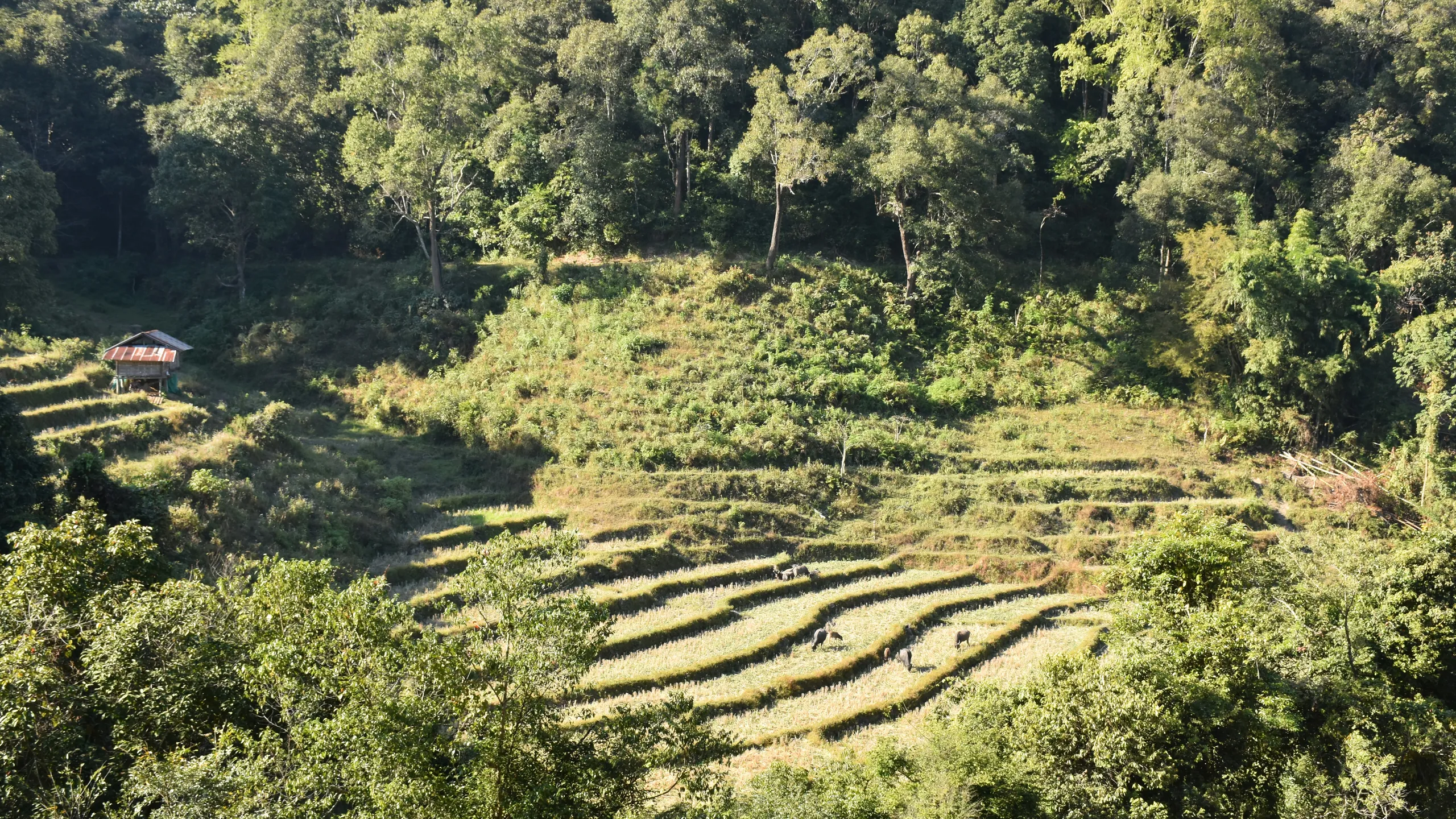 HOKA Chiangmai Thailand by UTMB