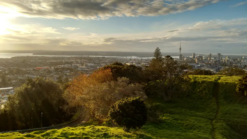Summit Forests Kaitaia Trail Run